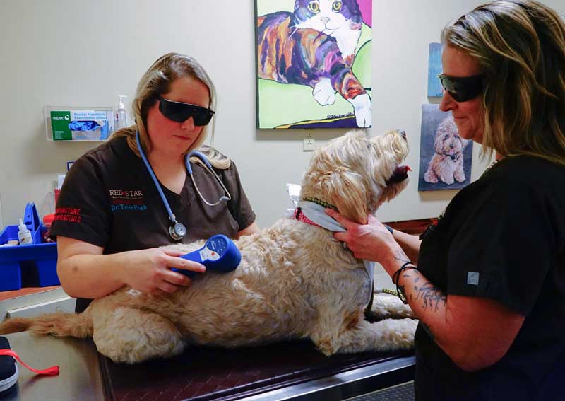 Carousel Slide 3: Laser therapy treatments